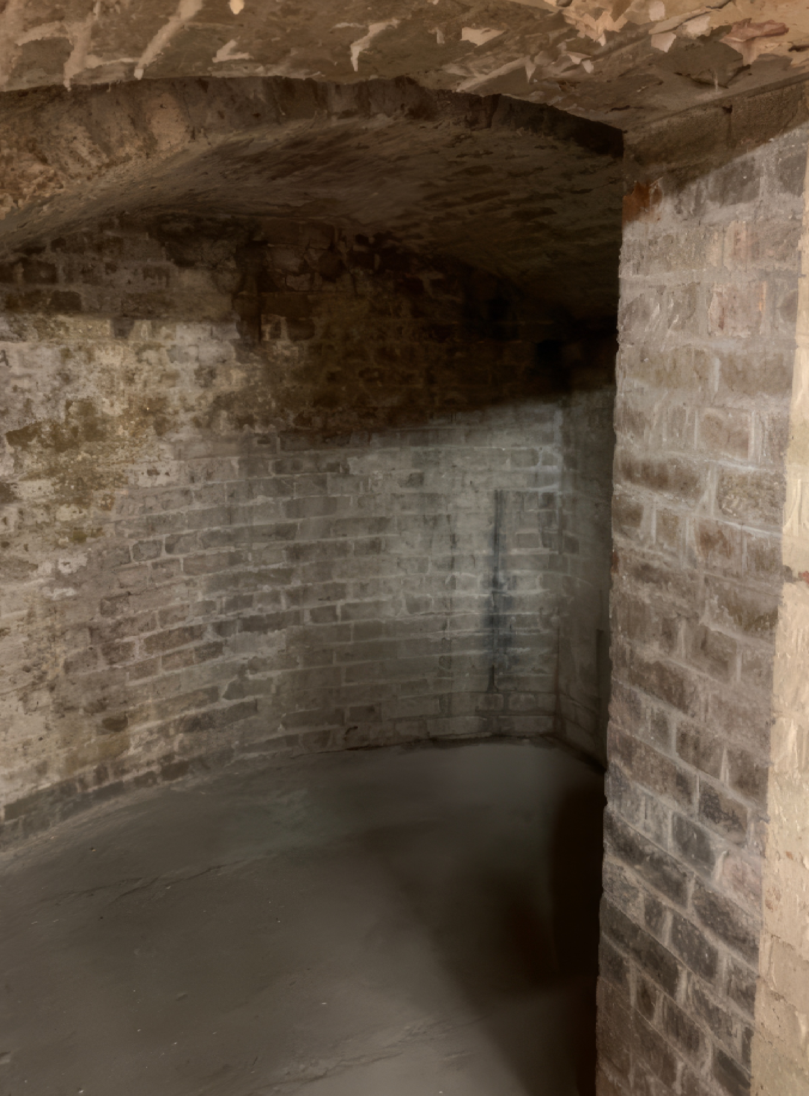 Damp affected basement wall before remedial waterproofing